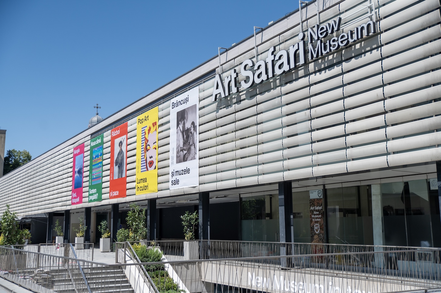 Art Safari New Museum